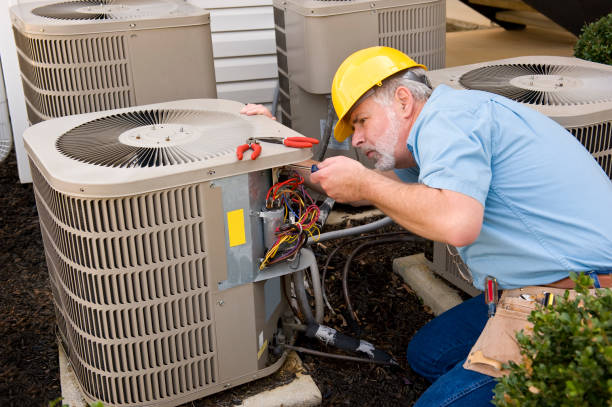 Best HVAC Installation Services  in Morrice, MI