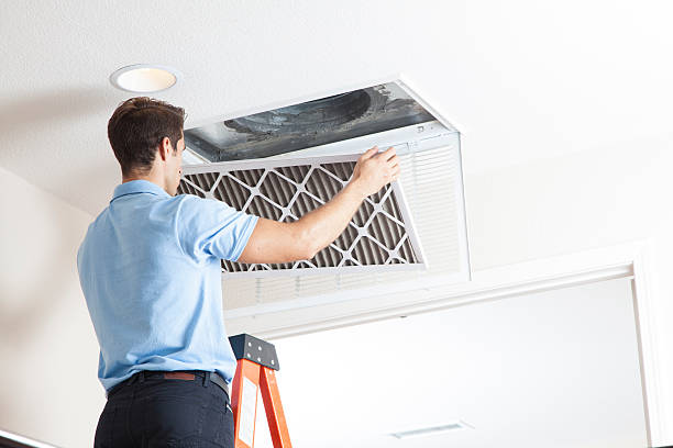 Best HVAC Maintenance Near Me  in Morrice, MI